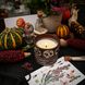 Парфумована свічка "Wild Green" у керамічному горнятку Herbalcraft 14282-herbalcraft фото 3
