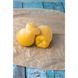 Smoked cheese bag «Stanislavska Syrovarnia», 200g 19604-200g-lamer photo 1