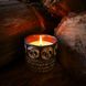 Парфумована свічка "Wild Green" у керамічному горнятку Herbalcraft 14282-herbalcraft фото 1