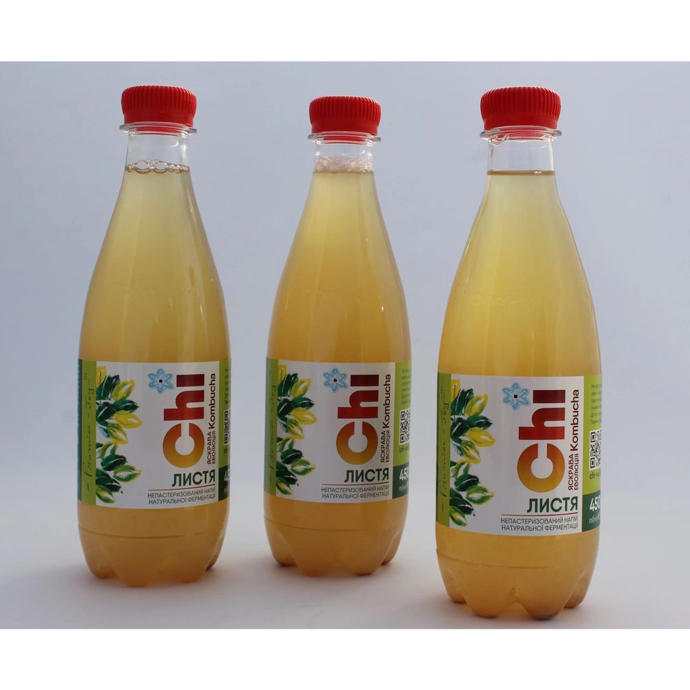 Kombucha drink "LEAVES" 450 ml "ECOLIYA" 18711-ecoliya photo