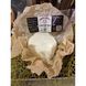 Сир "Сулугуні грузинське" Lemberg Cheese, 1 кг 12826-lemberg-ch фото 1