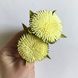 Scrunchy "Dandelion", color Yellow 11342-yellow-mimiami photo 3