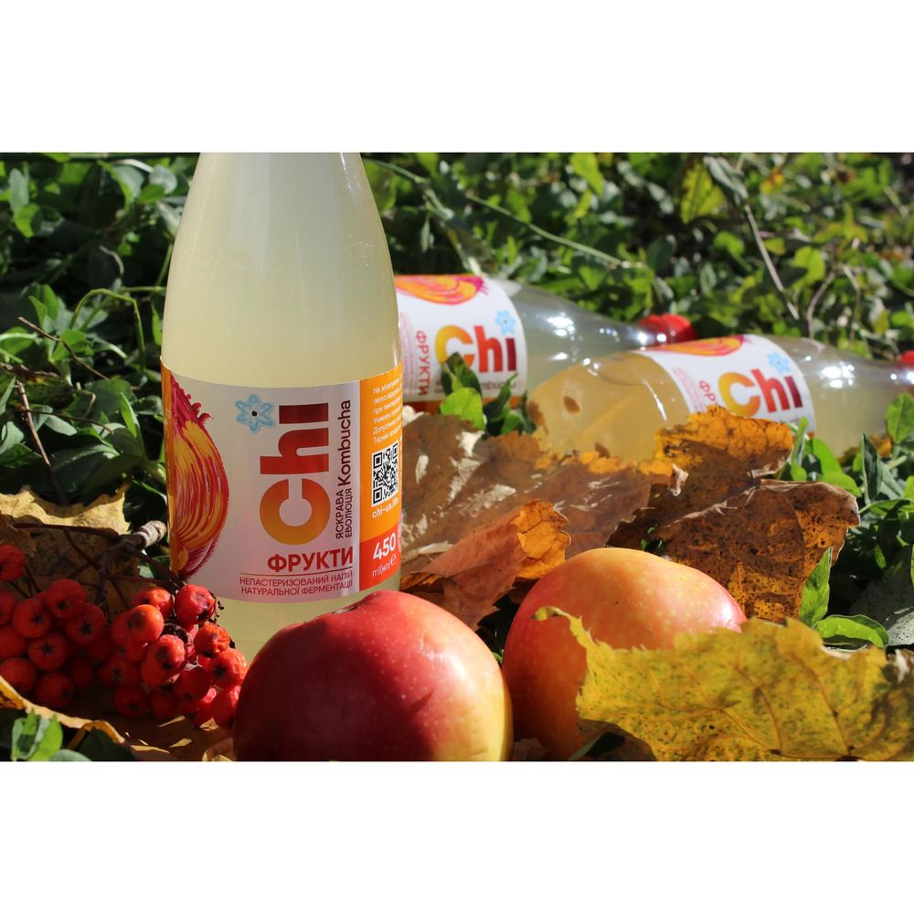 Kombucha drink "FRUITS" 450 ml "ECOLIYA" 18712-ecoliya photo