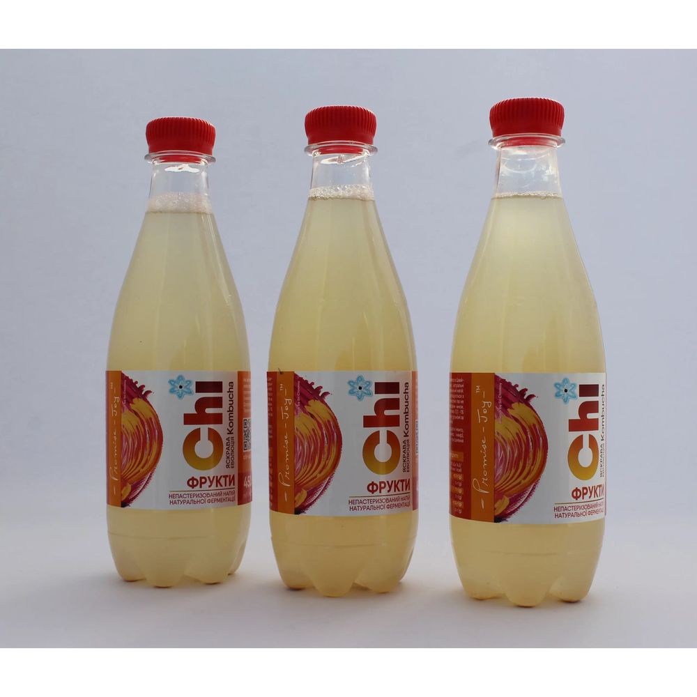 Kombucha drink "FRUITS" 450 ml "ECOLIYA" 18712-ecoliya photo