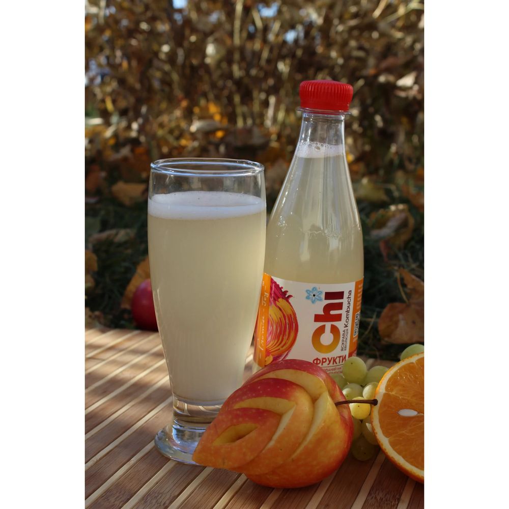 Kombucha drink "FRUITS" 450 ml "ECOLIYA" 18712-ecoliya photo