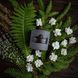 Scented candle "Wild Green" in a gray plaster planter with a Herbalcraft lid Herbalcraft 14286-herbalcraft photo 3
