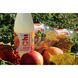 Kombucha drink "FRUITS" 450 ml "ECOLIYA" 18712-ecoliya photo 6