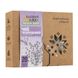 Thyme tea 30 bags x 1 g «Medovyi shliakh» 19014-medovyi-shliakh photo 2