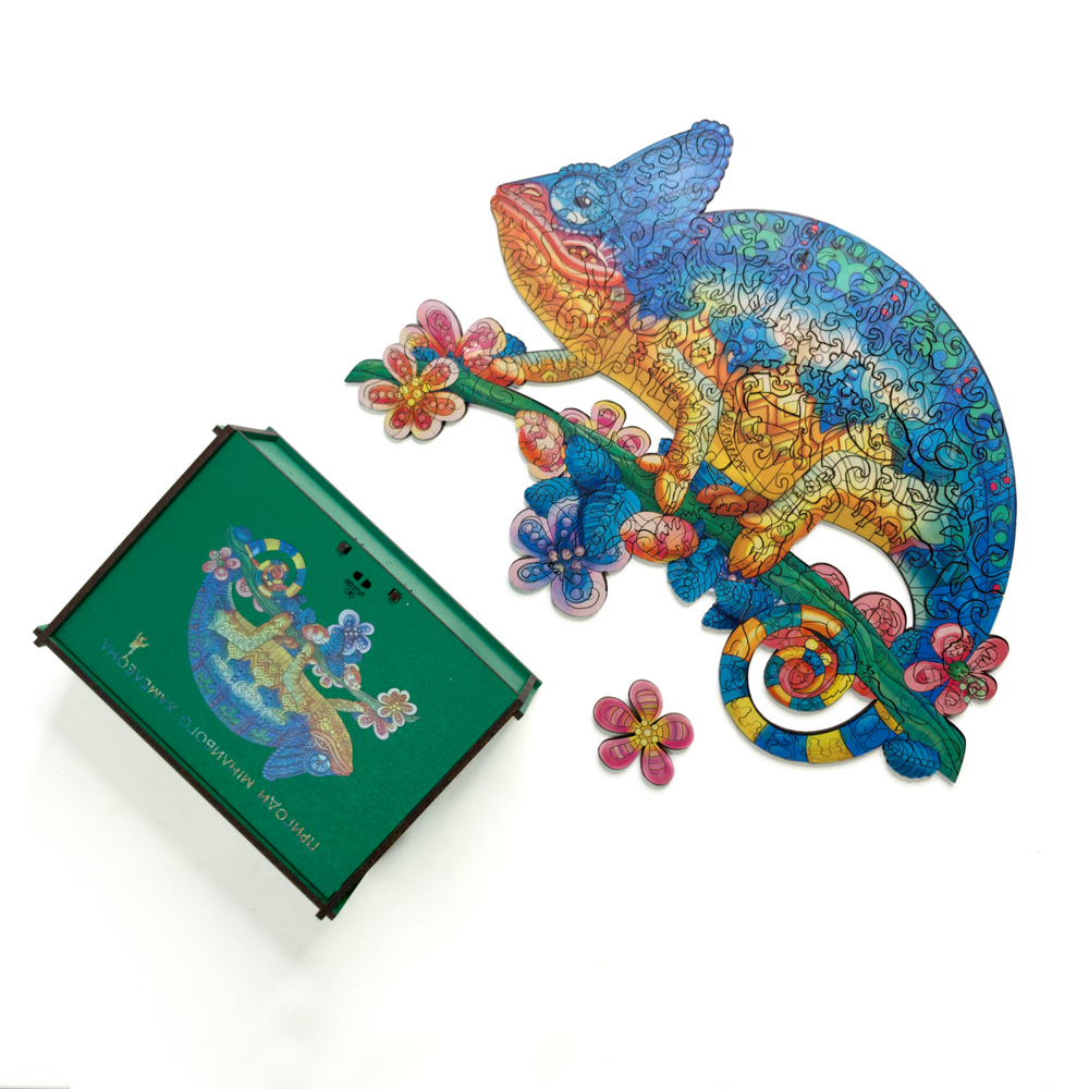 Adventures of the Changing Chameleon Puzzle Go Puzzle - gift box 6259 photo