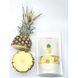 Organic Pineapple Chips «Eco Nicy» - 50 grams, Without Sugar 13669-ekoniashky photo 1