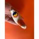 Свистунець «Коник»,з кольоровою квіточкою 9 см 15604-lovyleva фото 7