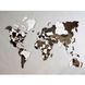 Wooden map of the world on the wall 10072-grunge-100x60-factura photo