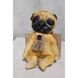 Toy Pets "Pug Kevin", 18 cm 12564-toy_pets photo 1