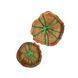 Sliced tray natural wood handmade NATURAL series DEEPWOOD 20 cm 12912-20-deepwood photo 12
