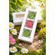 Box of 3 bonbons Spring Flowers LAVIVA 14879-3pcs-laviva photo 3