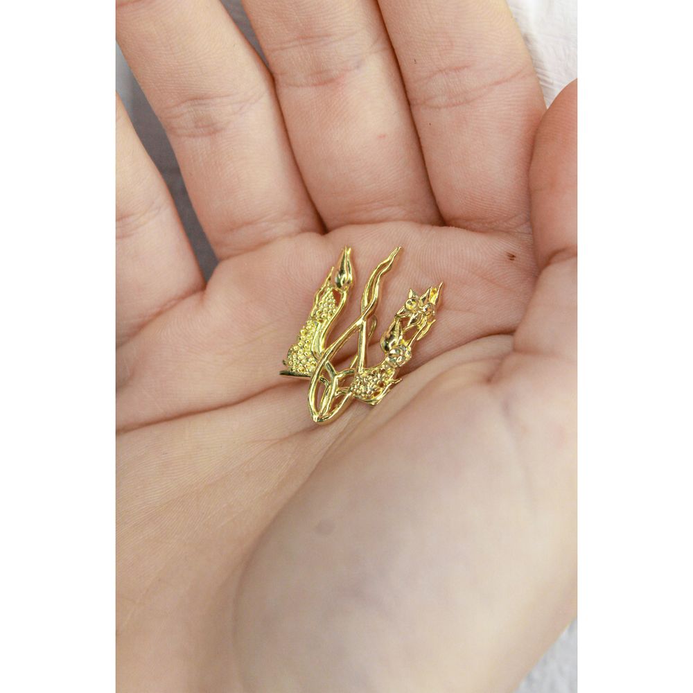 Брошка "Квітучий тризуб" (золотий) 13349-nigramadr фото