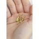 Brooch "Flowering trident" (gold) 13349-nigramadr photo 8