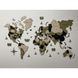 Wooden map of the world on the wall 10072-verde-100x60-factura photo 1