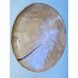 Plate Scythian Ouroboros sepia, KAPSI, ceramics, handmade 13233-kapsi photo 5