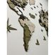 Wooden map of the world on the wall 10072-verde-100x60-factura photo 6