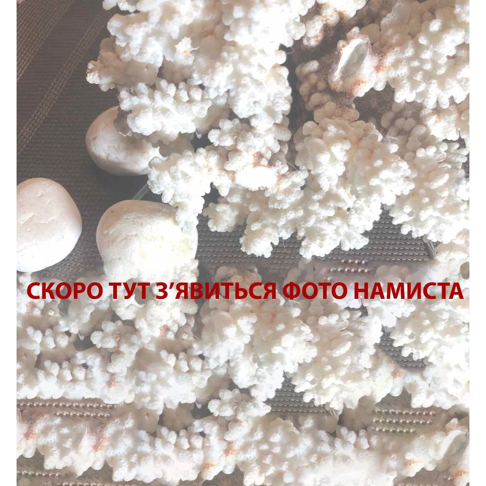 Намисто "Хатка" 12683-korali фото