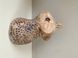Decorative hook Bird by Nato Mikeladze, brown pastel 4485 photo 4