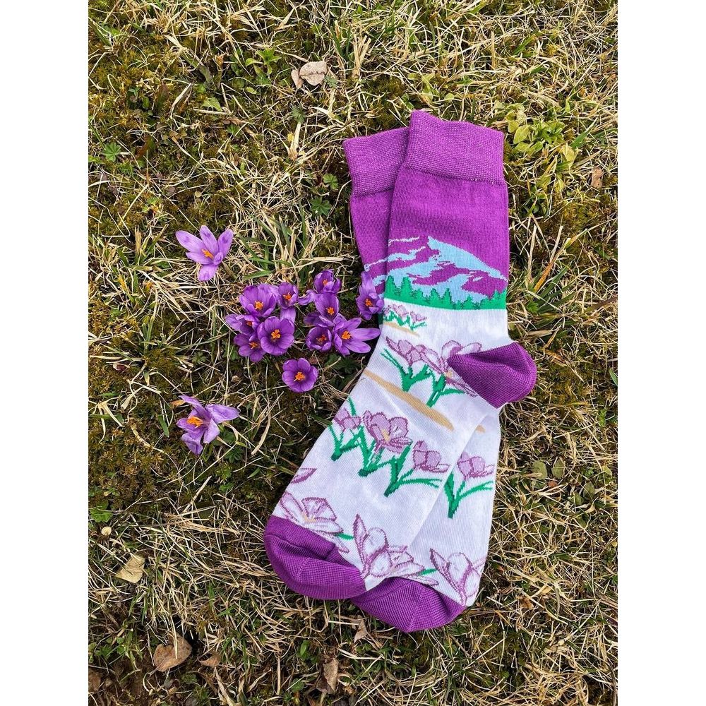 Socks "Crocuses" 19952-frankivsk-berehty photo