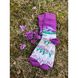 Socks "Crocuses" 19952-frankivsk-berehty photo 1