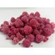 Sublimated raspberries "LYO to GO", 20 g 12052-lyo-to-go photo 2